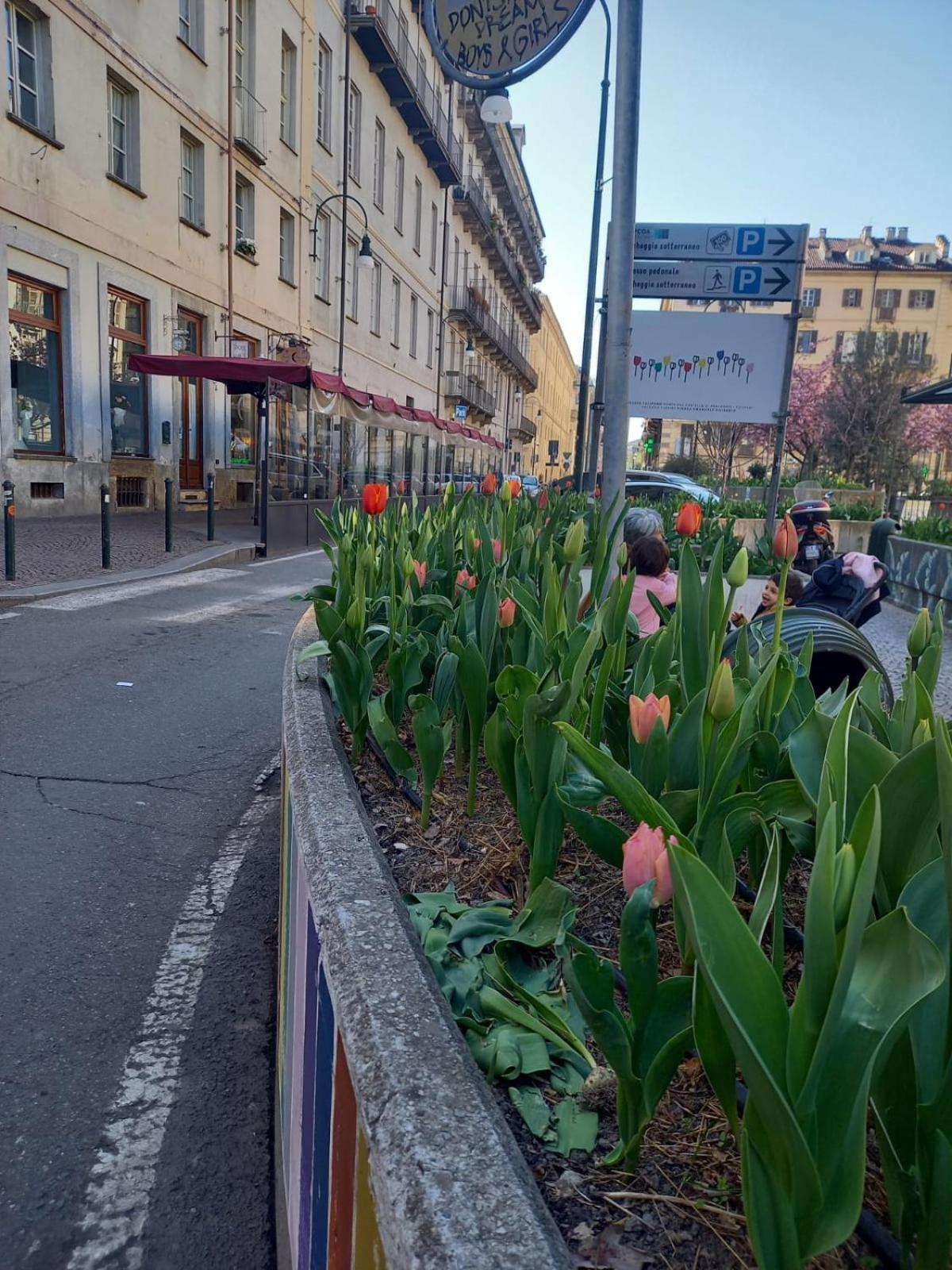 Centralissimo Nel Cuore Del Quadrilatero Di Torino ภายนอก รูปภาพ
